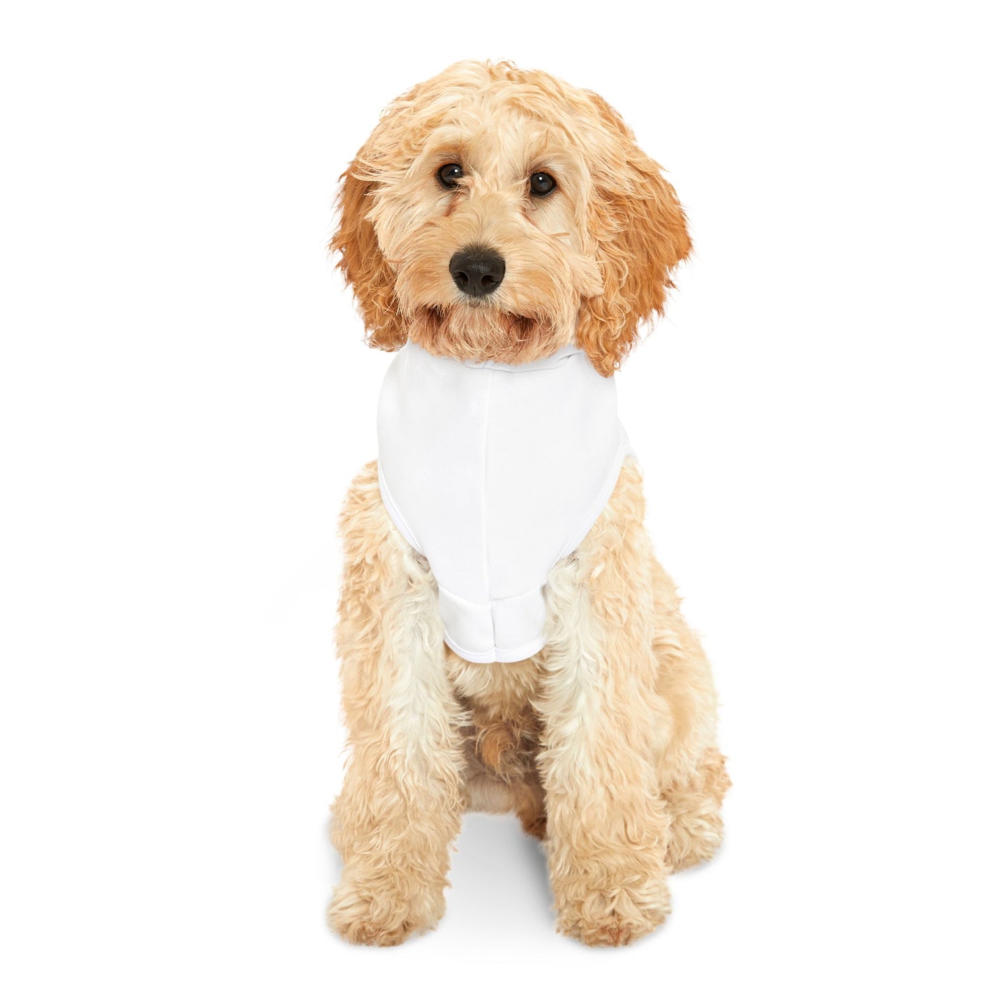 Charming Pet Hoodie for Stylish Dogs, Ideal Gift for Pet Lovers, Fun Fashion for Walks, Cozy Wear for Celebrations, Perfect for Holidays